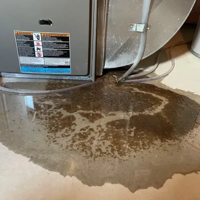 Appliance Leak Cleanup in Broadview Park, FL